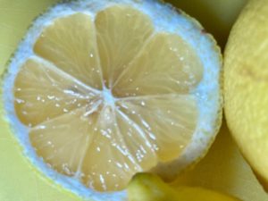 Bio-Zitrone halbiert